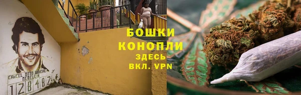 прущие грибы Богданович