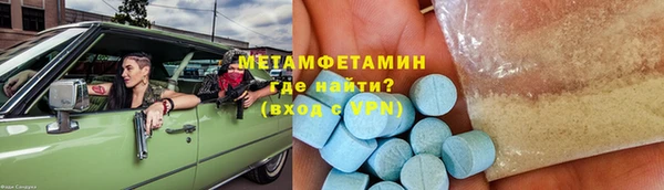 прущие грибы Богданович