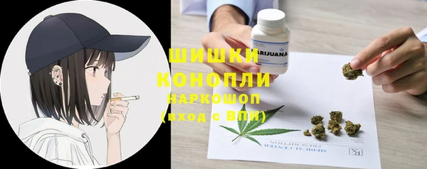 прущие грибы Богданович