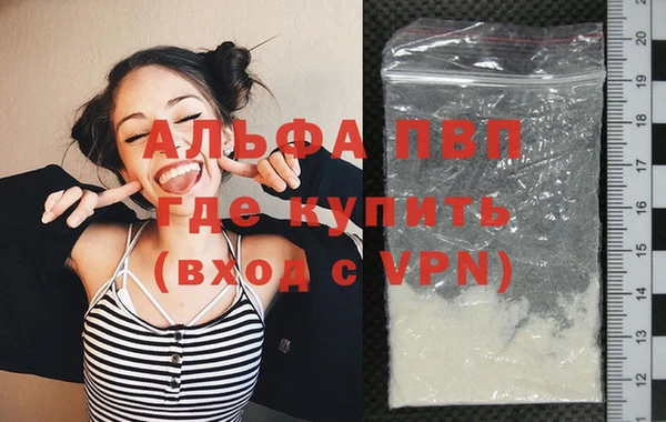 прущие грибы Богданович