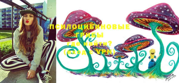 бутират Богородицк