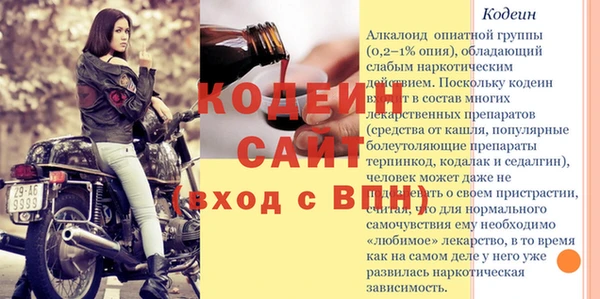 прущие грибы Богданович
