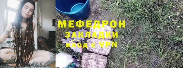 прущие грибы Богданович