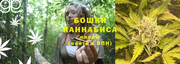 прущие грибы Богданович