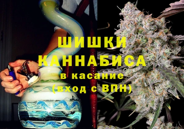 прущие грибы Богданович