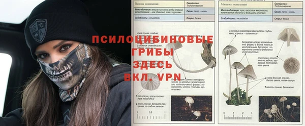 бутират Богородицк
